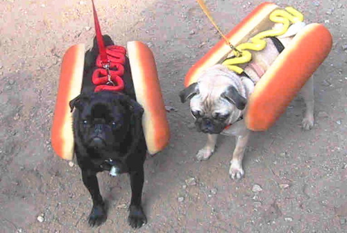 hotdog