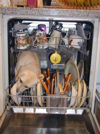 dishwasher