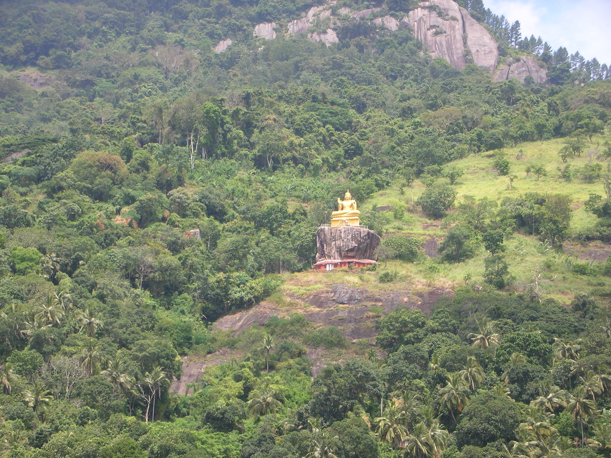 aluvi hillbuddha