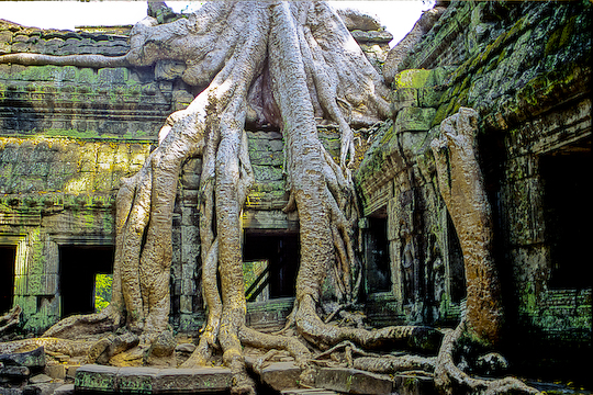 ta phrom