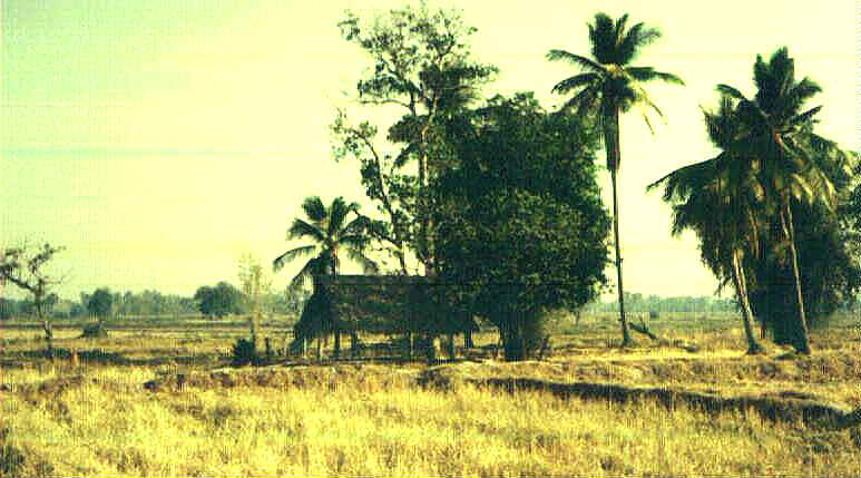 cabanha