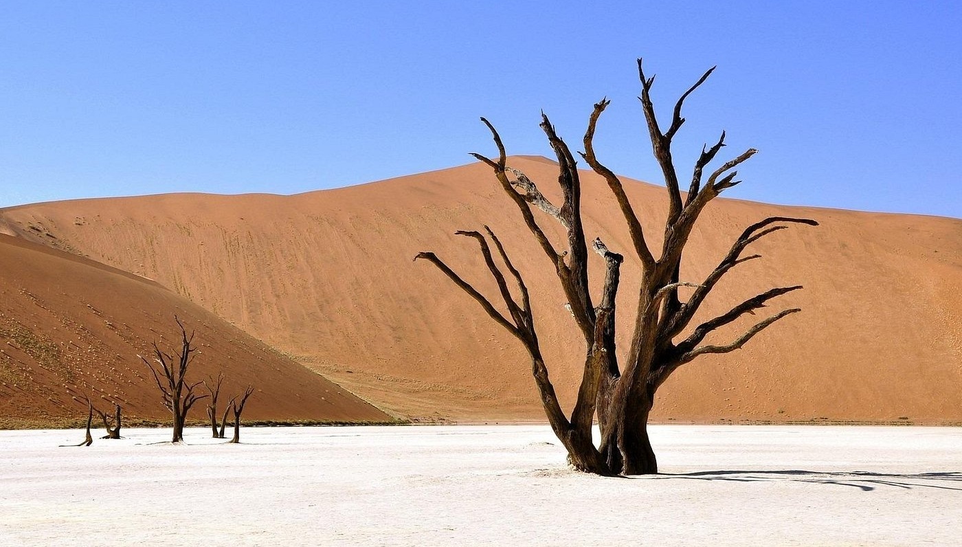 deadvlei