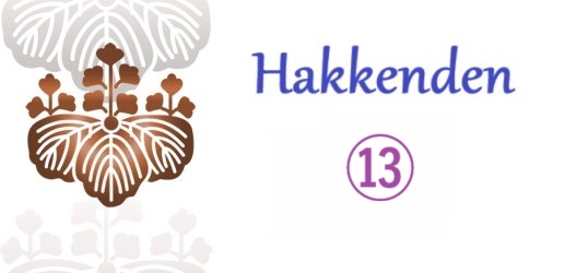 h13