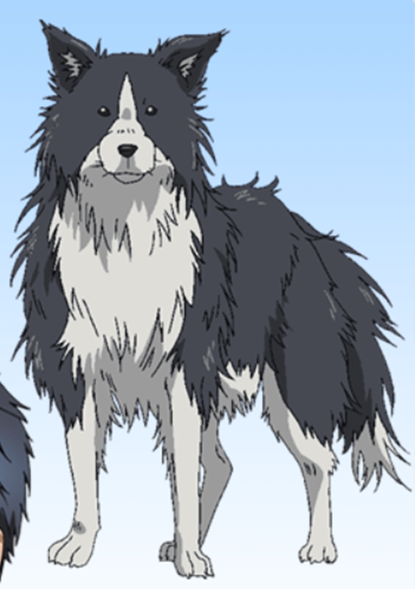 yoshirou
